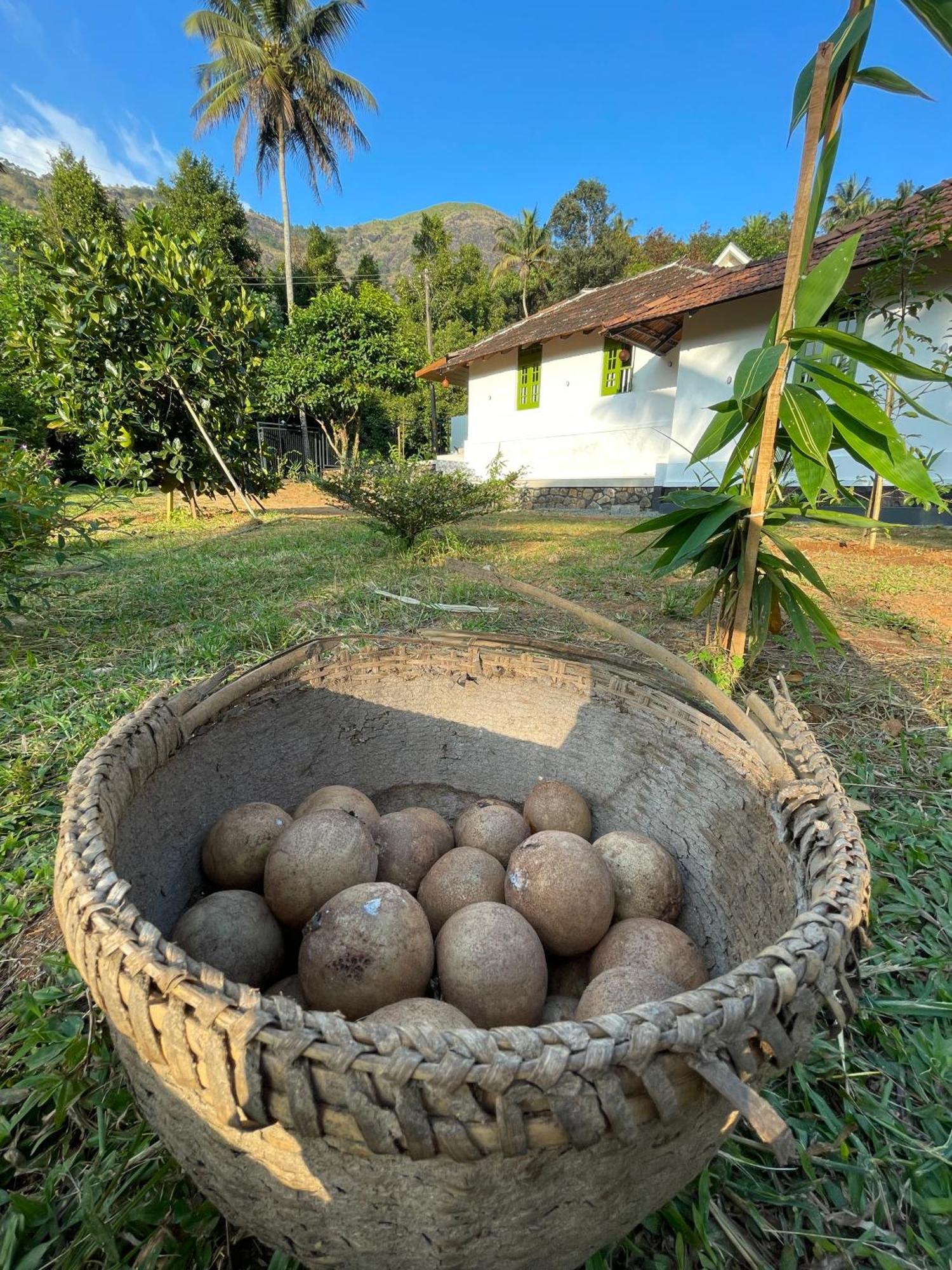 Calm Shack - 2 Bedroom-Boutique Farm Stay Munnar Zewnętrze zdjęcie