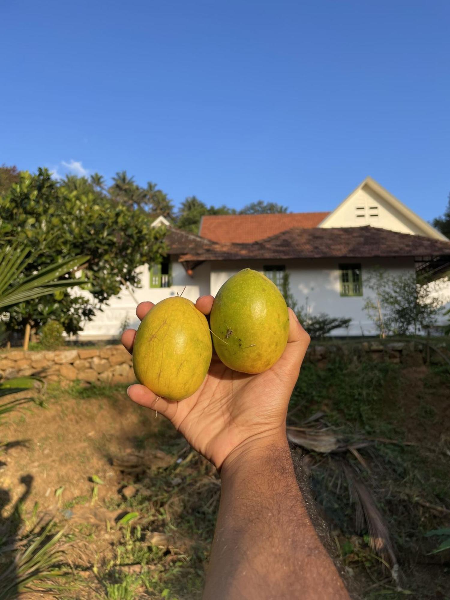 Calm Shack - 2 Bedroom-Boutique Farm Stay Munnar Zewnętrze zdjęcie