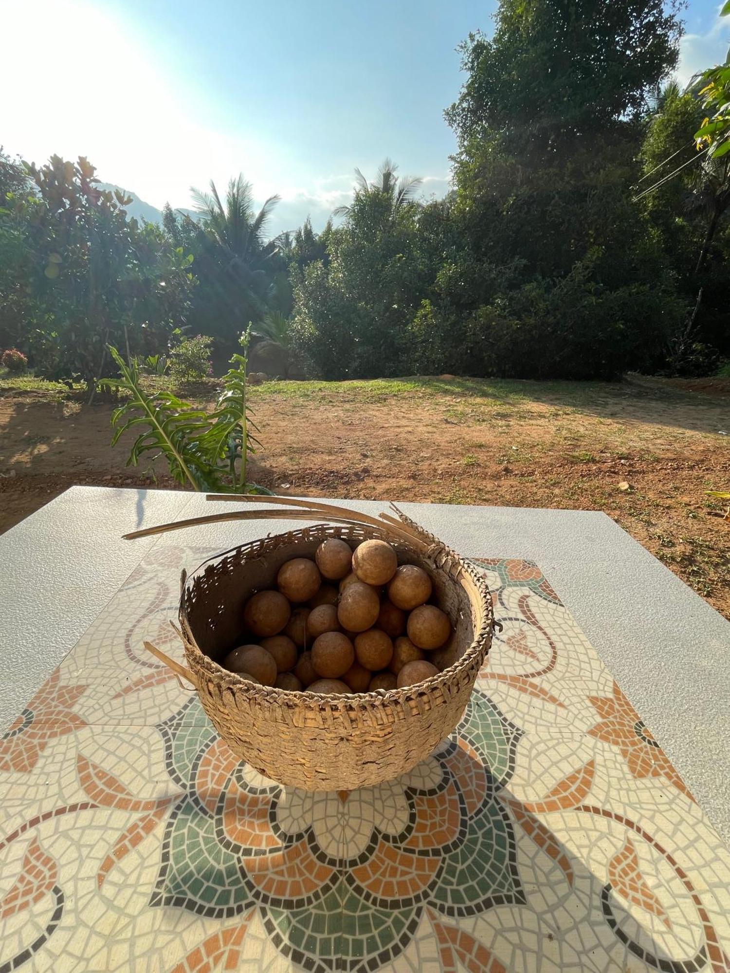 Calm Shack - 2 Bedroom-Boutique Farm Stay Munnar Zewnętrze zdjęcie