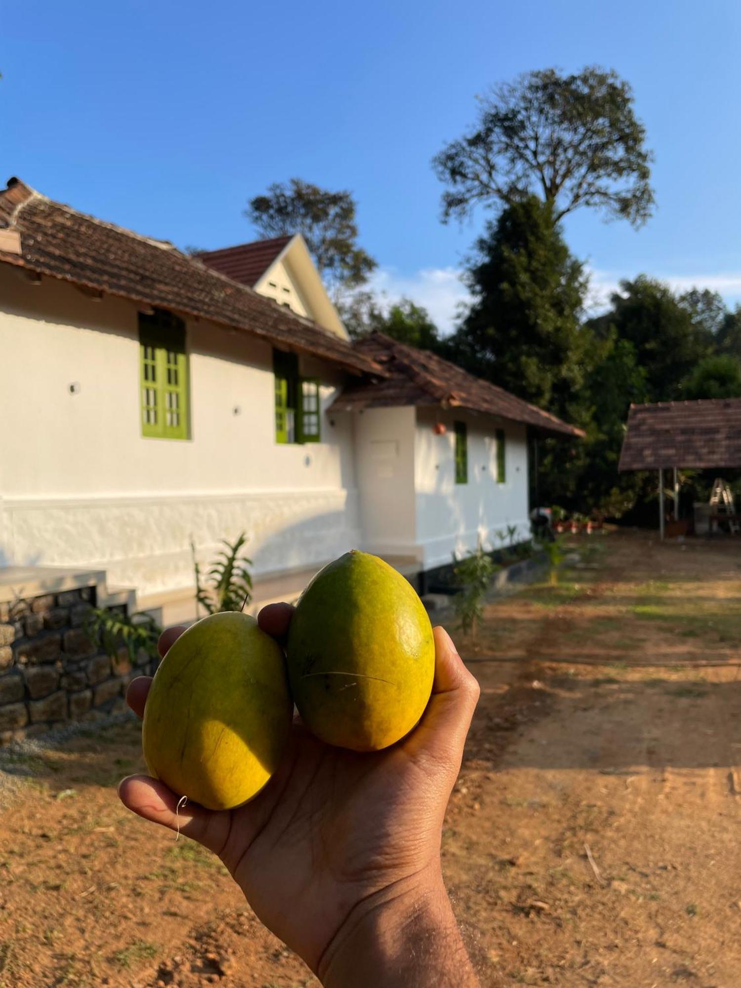 Calm Shack - 2 Bedroom-Boutique Farm Stay Munnar Zewnętrze zdjęcie