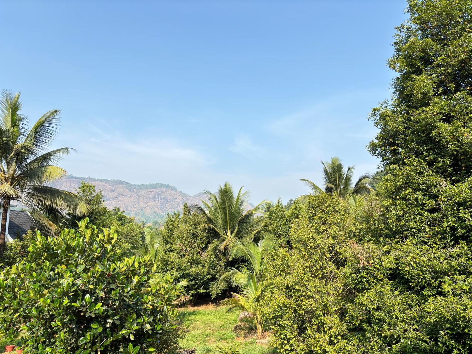 Calm Shack - 2 Bedroom-Boutique Farm Stay Munnar Zewnętrze zdjęcie