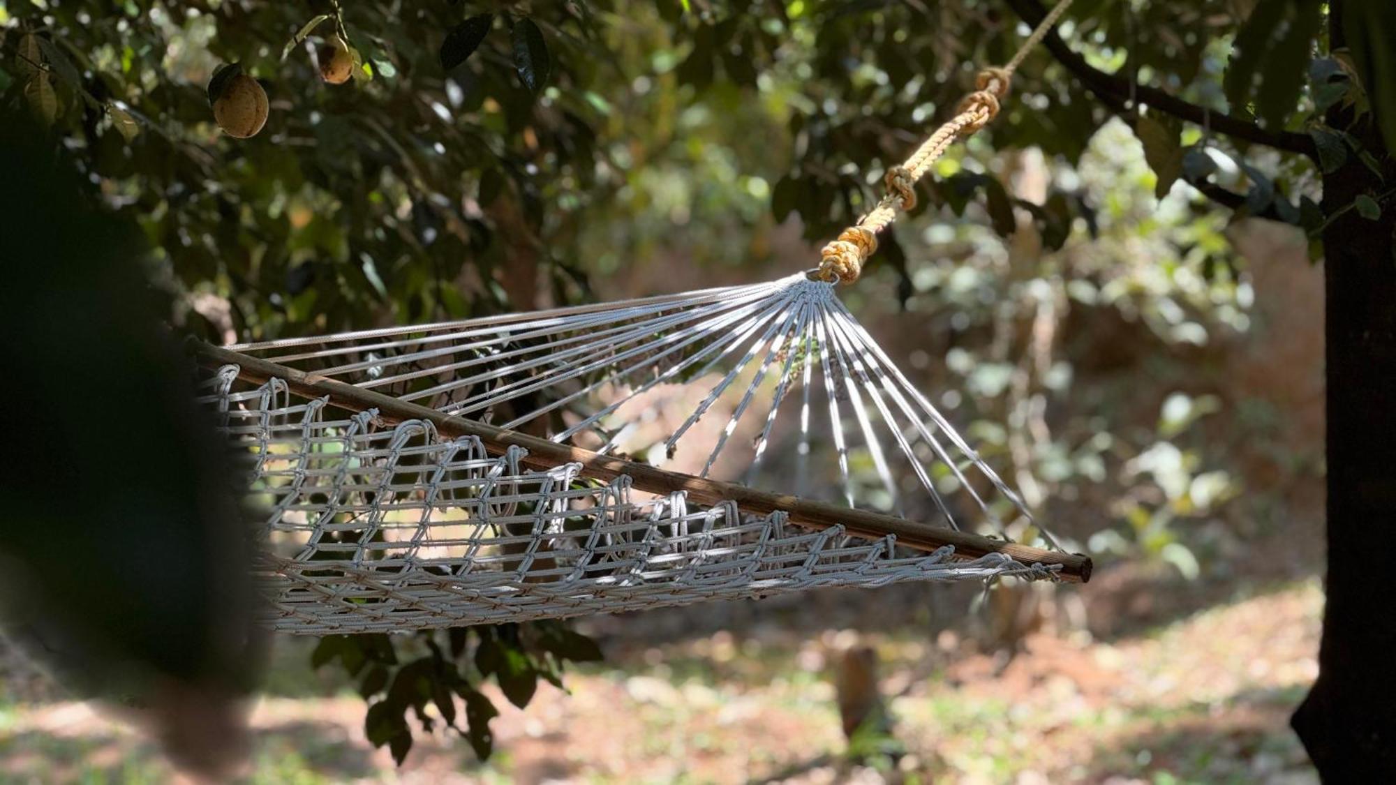 Calm Shack - 2 Bedroom-Boutique Farm Stay Munnar Zewnętrze zdjęcie